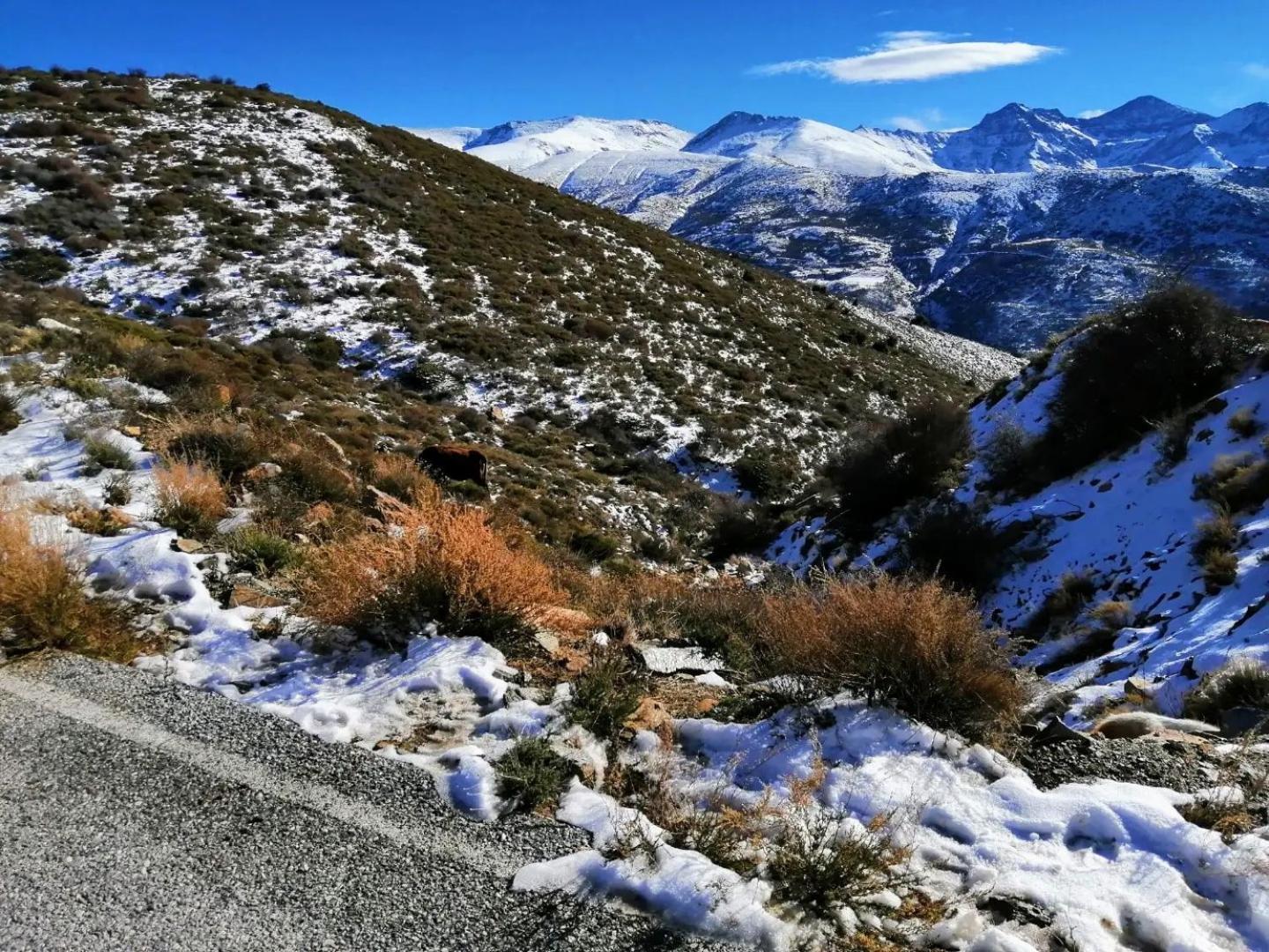 Apartamentos Sierra Nevada Park Guejar Sierra Luaran gambar