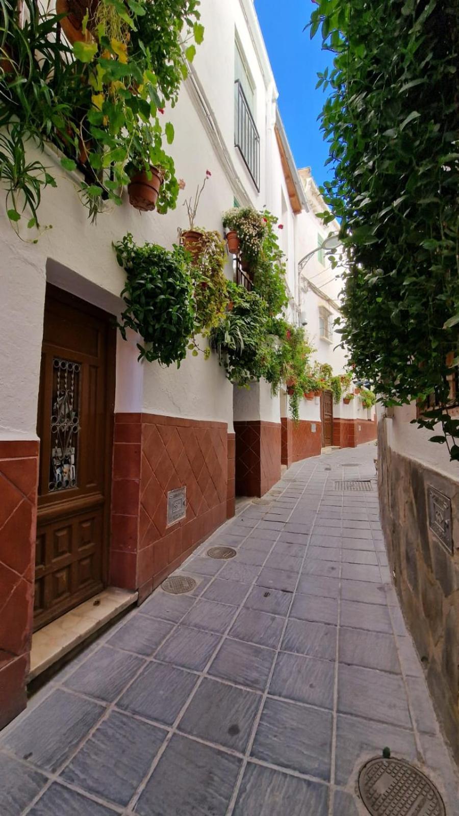 Apartamentos Sierra Nevada Park Guejar Sierra Luaran gambar